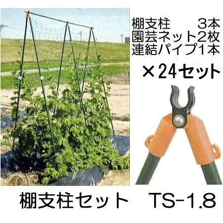 (徳用8セット×3ケース) つるもの用 棚支柱セット TS-1.8 (1.8m) ×24パック 第一ビニール (個人宅不可 法人個人選択)