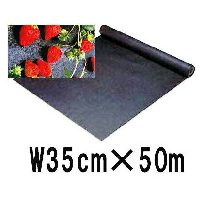 (6巻セット) アグリス ベリーベッド 巾35cm&times;長さ50ｍ いちご栽培用｜瀧商店