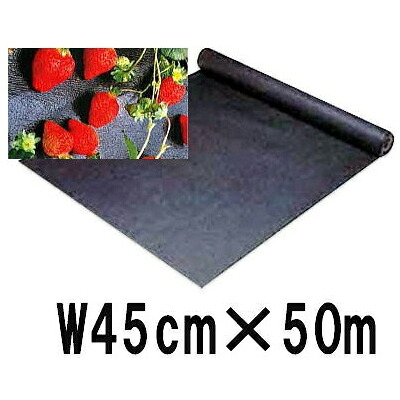 (6巻セット) アグリス ベリーベッド 巾45cm×長さ50m|瀧商店
