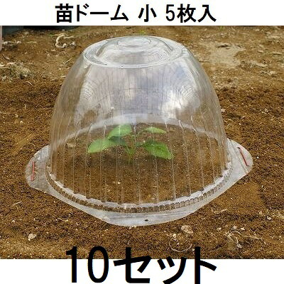 (5枚入×10書き割り) 第一ビニール 苗学生寄宿舎 苗取りまかなう 苗旗がしら 小