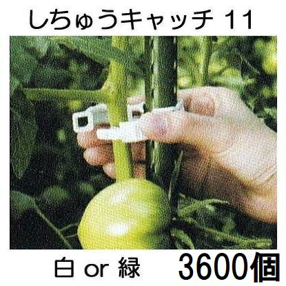 (ケース特価 300個×12袋) 誘引資材 しちゅうキャッチ 11 (3600個入) 白or緑 色選択 支柱径11mm用 シーム S11W-300 S11G-300