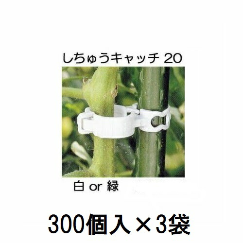 (300個入×3袋) 誘引資材 しちゅうキャッチ 20 (白or緑 色選択) 支柱径20mm用 (900個入) シーム S20W-300 S20G-300　zm