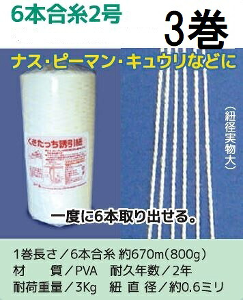(3巻セット) 誘引資材 くきたっち誘引紐 6本合糸2号 3巻 Y6-KU02 [誘引具 園芸用品 農機具 瀧商店] シーム　(zm)