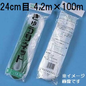 (ケース販売 20枚入) 東京戸張 キュウリネット 網目24cm&times;巾4.2ｍ&times;長さ100ｍ WB42100 白緑 きゅうりネット キューリネット キュウリ等のつる性植物の誘引に 緑のカーテン｜瀧商店