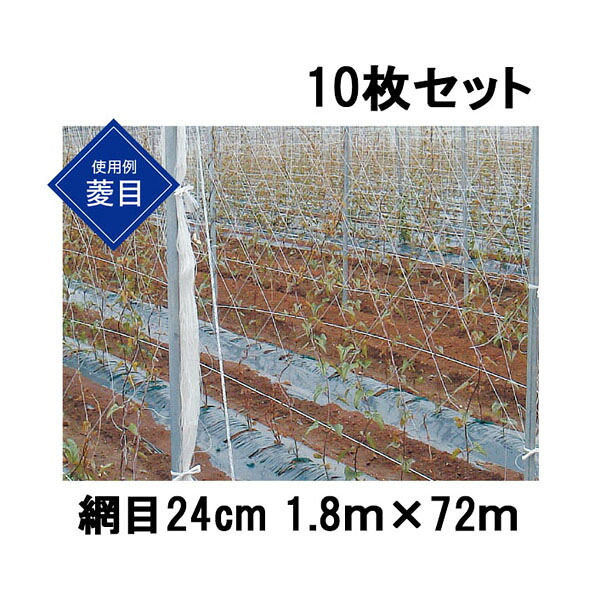 (10枚セット) 東京戸張 ながいもネット 網目24cm 1.8ｍ×72ｍ NB1872 白緑 長芋ネット
