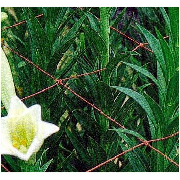 Amazon | 東京戸張 フラワーネット Cタイプ 25cm角目 5目×100m