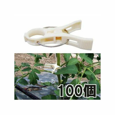 パスカル トマト誘引フック ローラーフック 白　32m　300個 楽天市場】(50個セット 白・黒選択) パスカル トマト誘引フック