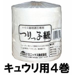 楽天市場】(30本セット) らせん杭 長尺 φ13×750mm ラセン杭 赤錆止め塗装 (ビニールハウス、パイプ倉庫の固定に ) 螺旋杭 : 瀧商店