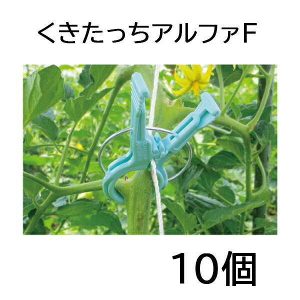 楽天市場】(ケース価格 2000個入) 誘引資材 くきたっちアルファ20 細紐