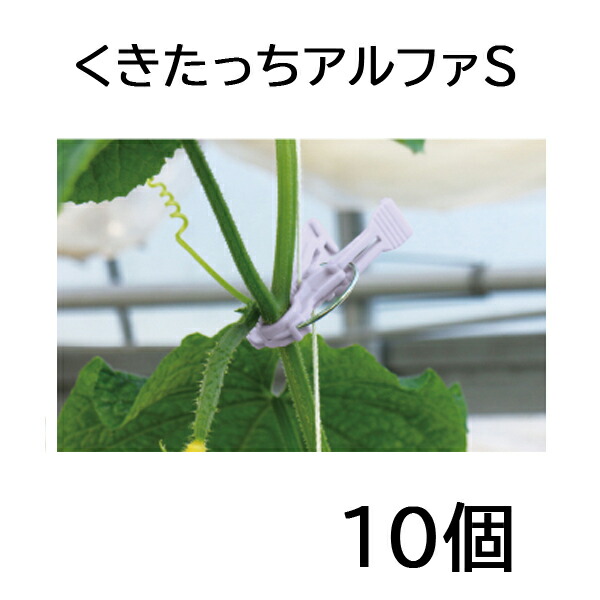 楽天市場】(ケース価格 2000個入) 誘引資材 くきたっちアルファ20 細紐