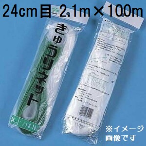 (ケース販売 40枚入) 東京戸張 キュウリネット 網目24cm&times;巾2.1ｍ&times;長さ100ｍ WB21100 白緑 きゅうりネット キューリネット キュウリ等のつる性植物の誘引に 緑のカーテン｜瀧商店 32,572円