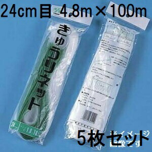 (5枚セット) 東京戸張 キュウリネット 網目24cm×巾4.8ｍ×長さ100ｍ WB48100 白緑 きゅうりネット キューリネット キュウリ等のつる性植物の誘引に 緑のカーテン