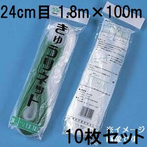 (徳用10枚セット) 東京戸張 キュウリネット 網目24cm×巾1.8ｍ×長さ100ｍ WB18100 白緑 きゅうりネット キューリネット キュウリ等のつる性植物の誘引に 緑のカーテン 10,405円