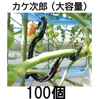 (50個入×2袋) トマト誘引資材 たっぷり カケ次郎 大容量 シーム KJR-50 (100個)［誘引具 カンタン 瀧商店］ トマト栽培 (zm)