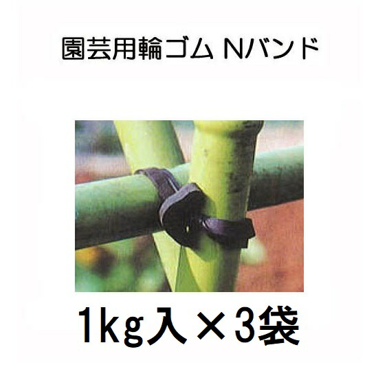 (3kg入り) Nバンド 1kg×3袋 N255 N205 N185 N165 N145 園芸用万能ゴム (サイズ選択)　zs