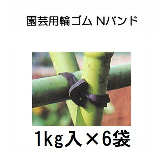 (6kg入り) Nバンド 1kg×6袋 N255 N205 N185 N165 N145 園芸用万能ゴム (サイズ選択)　zs