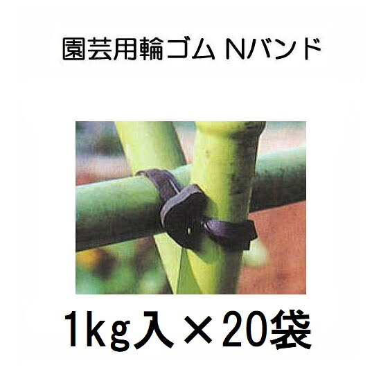 (20kg入り) Nバンド 1kg×20袋 N255 N205 N185 N165 N145 園芸用万能ゴム (サイズ選択)|瀧商店