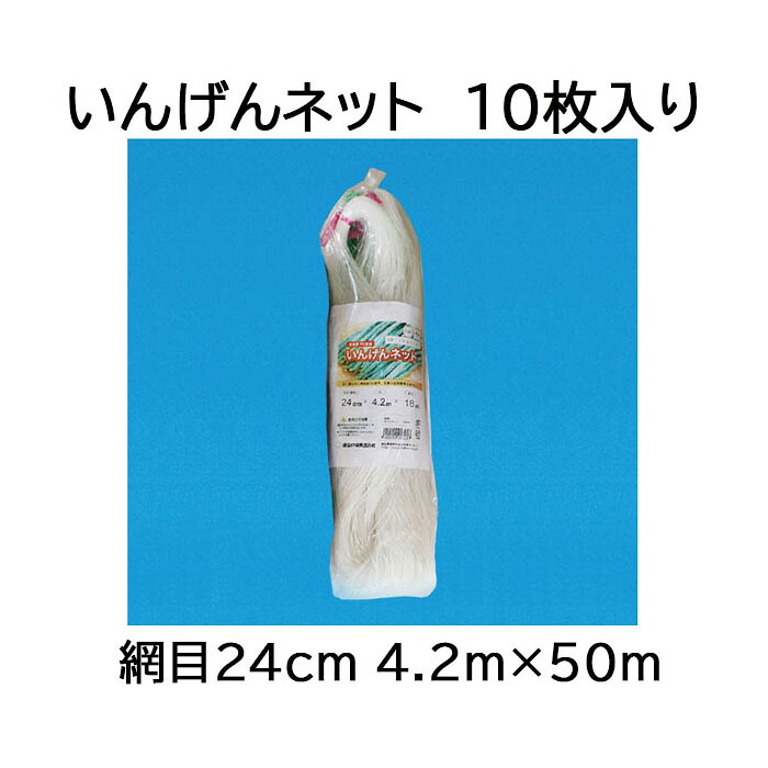 (徳用10枚セット) 東京戸張 インゲンネット 網目24cm 4.2ｍ&times;50ｍ IB4250 (白緑) いんげんネット｜瀧商店
