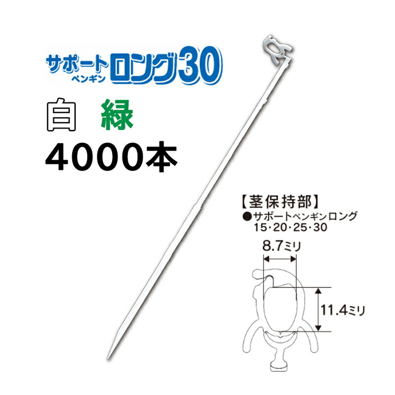 【楽天市場】(30本セット) らせん杭 長尺 φ13×750mm ラセン杭 赤錆止め塗装 (ビニールハウス、パイプ倉庫の固定に ) 螺旋杭 : 瀧商店