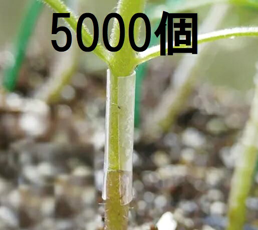 (徳用5000個入) 接木ホルダー スーパーフィット 15号 (1000個入×5袋) 内径1.5mm ナスニックス 6,480円