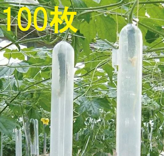 (100個入) ゴーヤ 整形具 かっこ良い ナスニックス［引きずり込む原材料 引きずり込む具 園芸装置 農機具 瀧バス発着場］