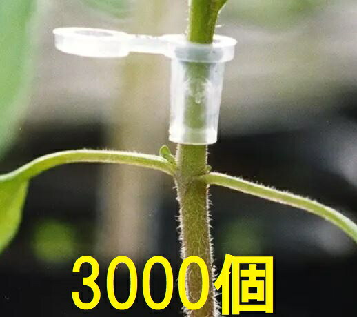 (徳用3000個入) 接木ホルダー スーパーウィズ ナスニックス ※14号、17号、20号、23号からお選びください