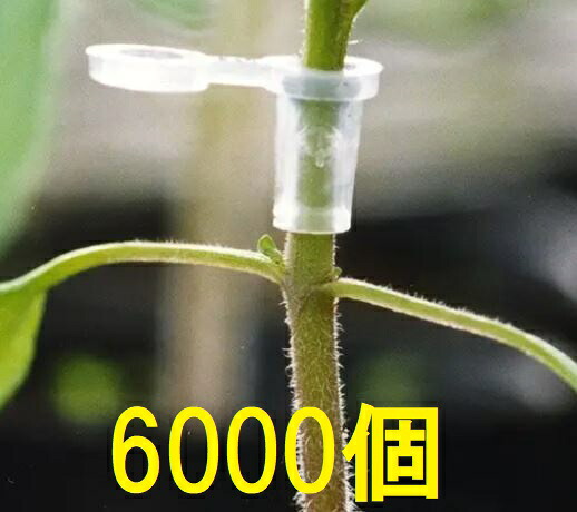 (6000個入特価) 接木ホルダー スーパーウィズ 1000個入×6袋 ナスニックス ※14号、17号、20号、23号からお選びください