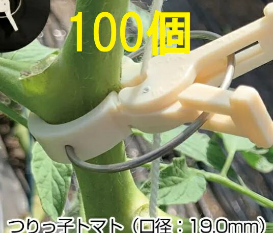 楽天市場】(ケース特価350個セット) パスカル トマト誘引フック