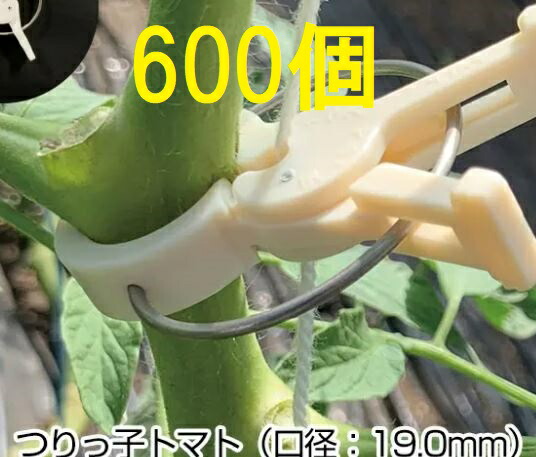 楽天市場】(100個セット 白・黒選択) パスカル トマト誘引フック