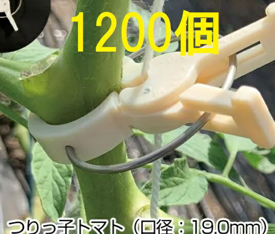(1200個入) 住み家作りだす用 引きずり込む具 つりっ子 赤茄子用 差しわたし:19粍 ナスニックス(100個入×12袋)
