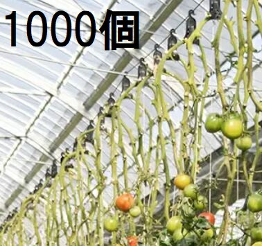 楽天市場】(ケース特価350個セット) パスカル トマト誘引フック