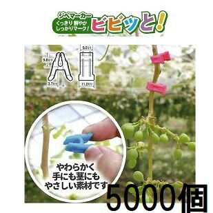 (色をお選びください) (容れもの特価 5000個入) ジベマーカー ビビッと (500個入×10袋) さくら色、黄色、青碧、パープル、オレンジ色 ジベレリンかた付けるなどの目じるしに シーム