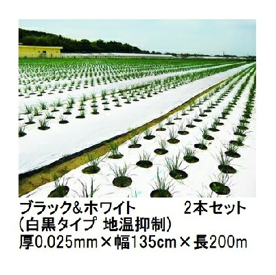 (2本セット) トーカン ブラック＆ホワイト (白黒タイプ 地温抑制) (厚0.025mm×幅135cm×長200m) 白黒マルチ 東罐興産 (法人/運送会社営業所止め 選択)