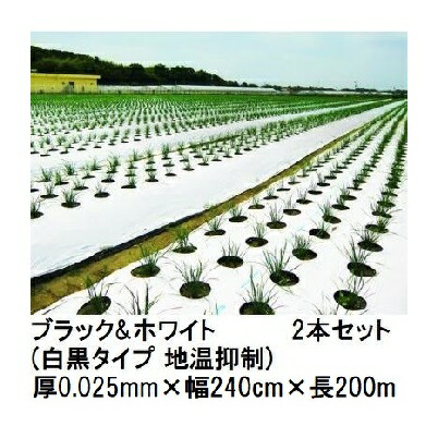 (2本セット) トーカン ブラック＆ホワイト (白黒タイプ 地温抑制) (厚0.025mm×幅240cm×長200m) 白黒マルチ 東罐興産 (法人/運送会社営業所止め 選択)