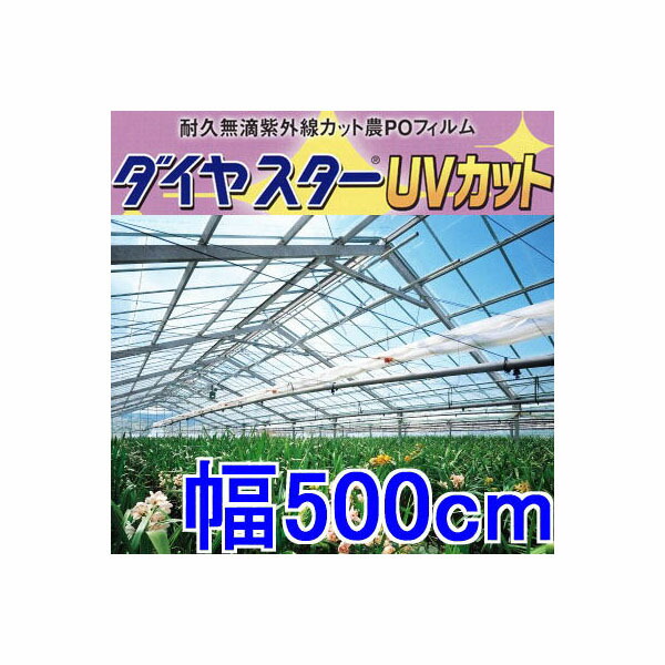 ダイヤスター 0.15mm厚 660cm幅 10m 農PO 透明 耐久無滴農POフィルム