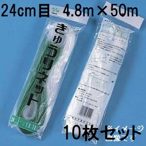 (10枚セット) 東京戸張 キュウリネット 網目24cm&times;巾4.8ｍ&times;長さ50ｍ WB4850 白緑 きゅうりネット キューリネット キュウリ等のつる性植物の誘引に 緑のカーテン｜瀧商店