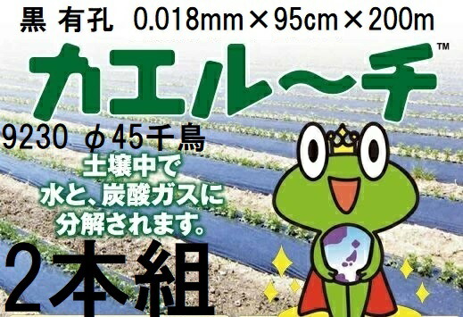 (2巻セット) 生分解性マルチフィルム カエルーチ 黒 有孔 9230 φ45千鳥 0.018mm×95cm×200ｍ MKVアドバンス (九州の法人限定 送料無料) 14,242円