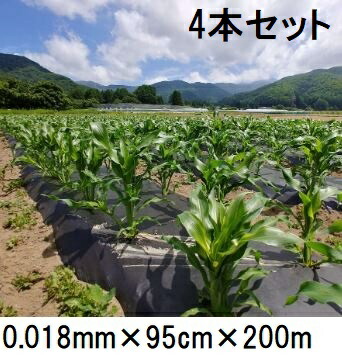(4巻書き割り特価) 生解体性マルチ写真フィルム キエ丸 黒 0.018mm×95cm×200ｍ 消えるマルチ zs ［きえ丸 きえまる キエマル］