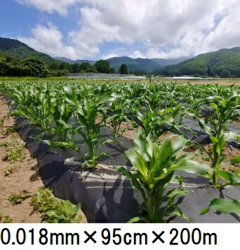 生腐蝕性マルチ写真フィルム キエ丸 黒 0.018mm×95cm×200ｍ 消えるマルチ zs ［消え丸 きえ丸 きえまる キエマル］