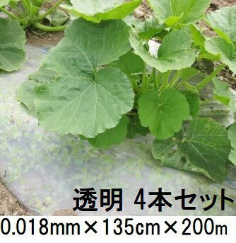 【透明】(4巻セット特価) 生分解性マルチフィルム キエ丸 透明 0.018mm×135cm×200ｍ 消えるマルチ ［きえ丸 きえまる キエマル］