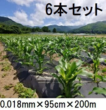 (6巻書き割り大特価) \u003cBR\u003e 生解体性マルチ写真フィルム キエ丸 黒 \u003cBR\u003e0.018mm×95cm×200ｍ \u003cBR\u003e消えるマルチ (きえ丸 きえまる キエマル) (zs)