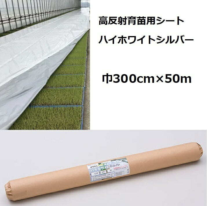 イワタニ 水稲用 ハイホワイトシルバー 厚0.05粍 幅300cm×50m 高照りかえす育苗用居敷き 岩谷布切れ (法人or持ちはこび会社組織取り引き所打ち切り)