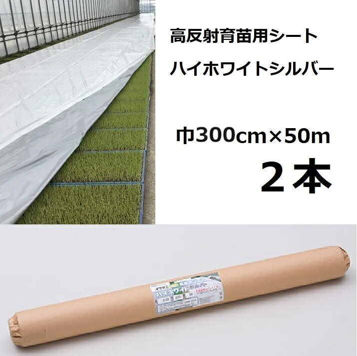 (2本セット) イワタニ 水稲用 ハイホワイトシルバー 厚0.05mm 幅300cm&times;50m 高反射育苗用シート 岩谷マテリアル (法人or運送会社営業所止め)｜瀧商店 36,433円