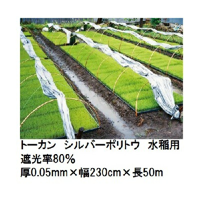 (2巻セット) トーカン シルバーポリトウ 水稲用 ＃80 遮光率80％ (厚0.05mm×幅230cm×長50m) (原反巻姿 ダブル巻き) 東罐興産 (法人/運送会社営業所止め 選択)