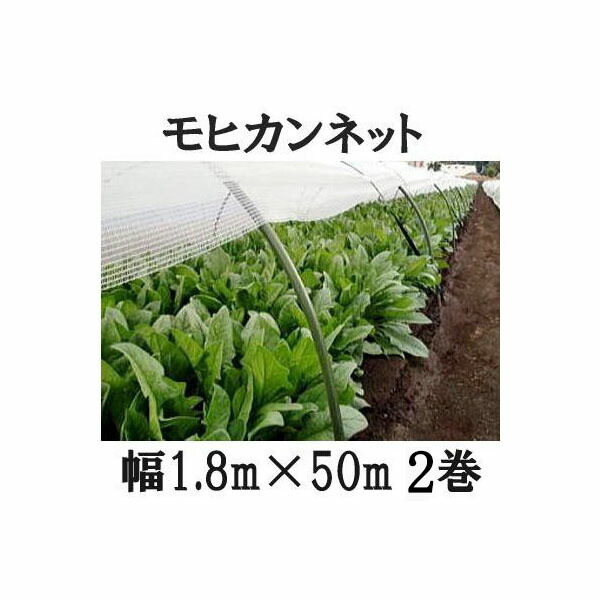 (2巻書き割り) 夏の水平坑作りだす モヒカンネット 幅1.8m×長さ50m サカタのタネ