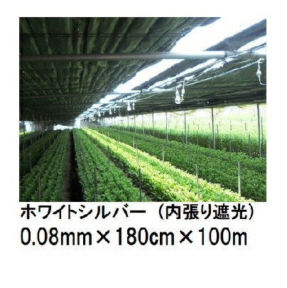 トーカン ホワイトシルバー (内張り遮光用) (厚0.08mm×幅180cm×長100m) (原反巻姿 シングル巻き) 東罐興産 (法人/運送会社営業所止め 選択)