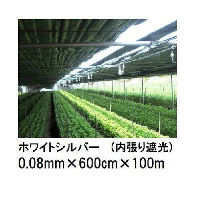 トゥーカン 白いことしろがね色 (上昇限度遮光用) (厚0.08mm×幅600cm×長100m) (原反巻姿 ダブル一巻き) 東罐興産 (法人/持っていく会社組織取り引き所打ちきり より分ける)