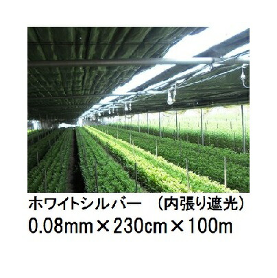 トーカン ホワイトシルバー (内張り遮光用) (厚0.08mm×幅230cm×長100m) (原反巻姿 シングル巻き) 東罐興産 (法人限定)