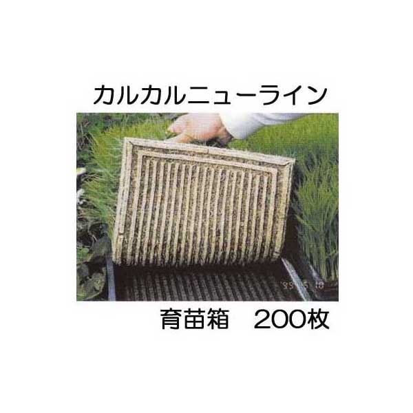 (200枚セット特価) 育苗箱 カルカルニューライン 軽労化育苗箱 [農機具 園芸資材 瀧商店] (法人個人選択)