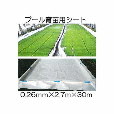 スウィミングプール育苗用居敷き 0.26mm×2.7m×30m 育苗用スウィミングプール居敷き
